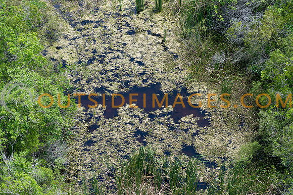 120518_TODD_0029