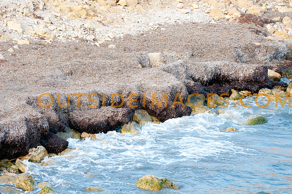 20110613_ElCampello_0045