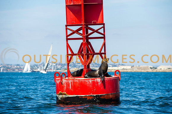 220326__NAUTICAL_IMAGES_516_TODD