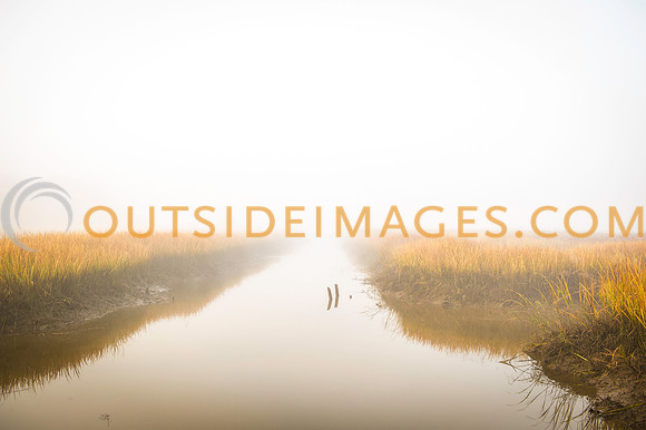 141130_TODD_0044