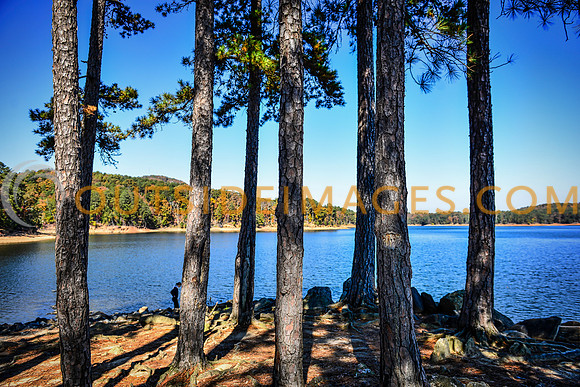 ____131103_TODD_0426