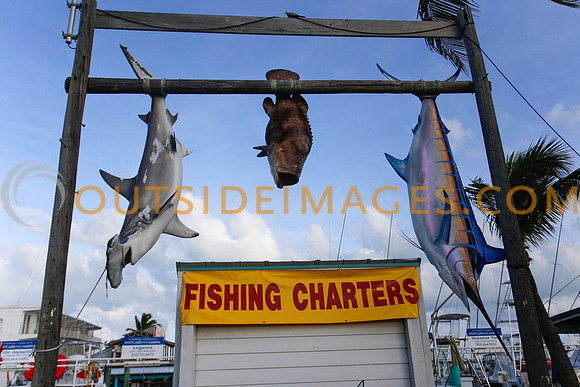 140519_GRIESER_0365