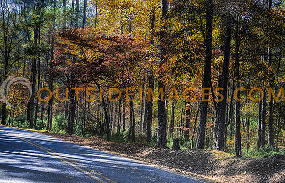 __131103_TODD_0504_HDR